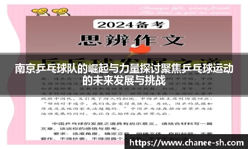 南京乒乓球队的崛起与力量探讨聚焦乒乓球运动的未来发展与挑战