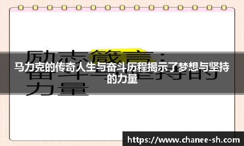 马力克的传奇人生与奋斗历程揭示了梦想与坚持的力量